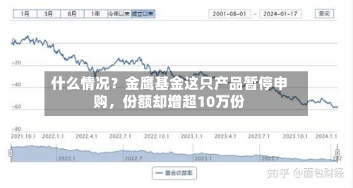 什么情况？金鹰基金这只产品暂停申购	，份额却增超10万份-第3张图片