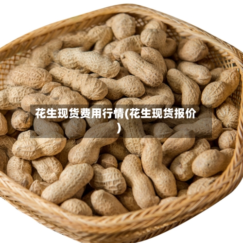 花生现货费用行情(花生现货报价)-第1张图片