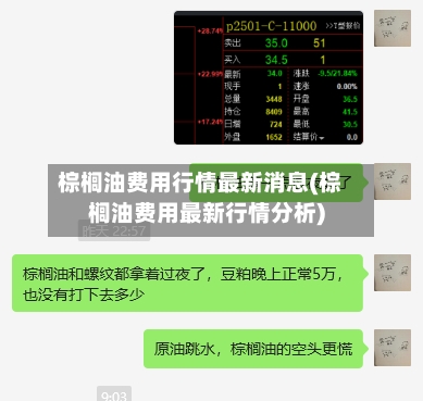 棕榈油费用行情最新消息(棕榈油费用最新行情分析)