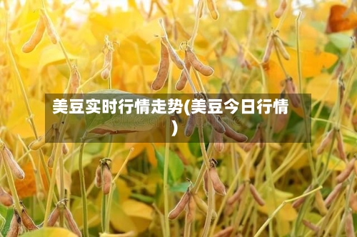 美豆实时行情走势(美豆今日行情)