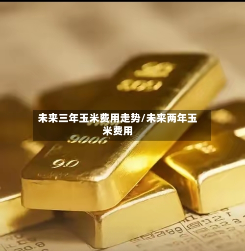未来三年玉米费用走势/未来两年玉米费用