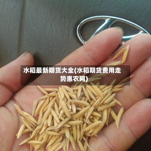 水稻最新期货大全(水稻期货费用走势惠农网)