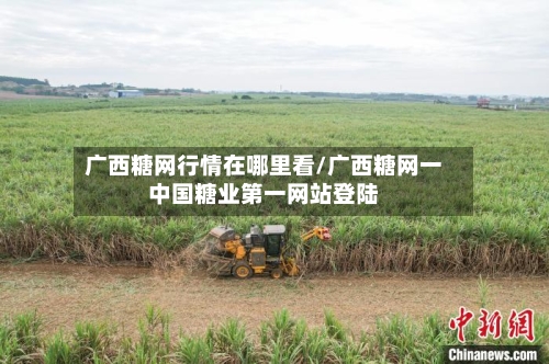广西糖网行情在哪里看/广西糖网一中国糖业第一网站登陆