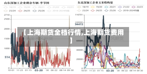 【上海期货全档行情,上海期货费用】