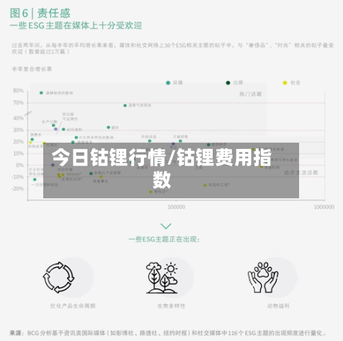 今日钴锂行情/钴锂费用指数
