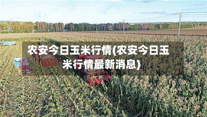 农安今日玉米行情(农安今日玉米行情最新消息)