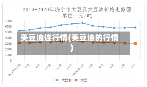 美豆油连行情(美豆油的行情)