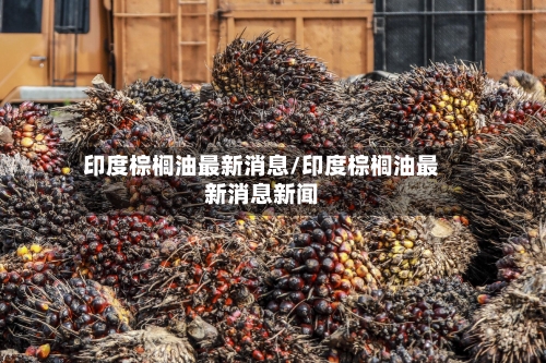 印度棕榈油最新消息/印度棕榈油最新消息新闻