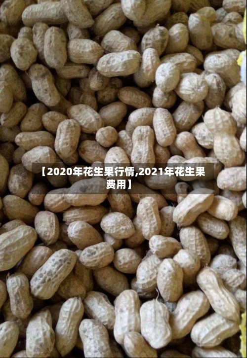 【2020年花生果行情,2021年花生果费用】