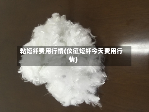 粘短纤费用行情(仪征短纤今天费用行情)