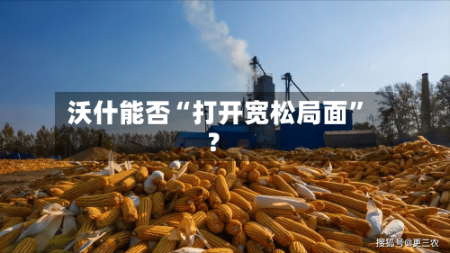 沃什能否“打开宽松局面	”？-第2张图片