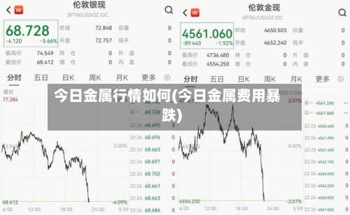 今日金属行情如何(今日金属费用暴跌)