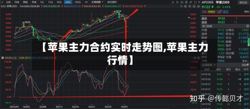 【苹果主力合约实时走势图,苹果主力行情】