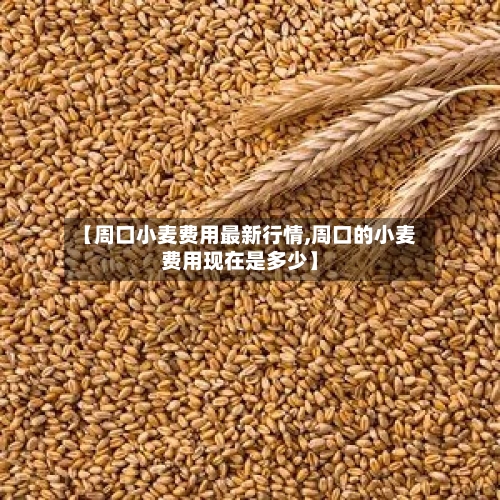 【周口小麦费用最新行情,周口的小麦费用现在是多少】