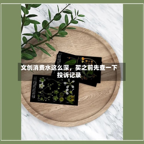 文创消费水这么深，买之前先查一下投诉记录