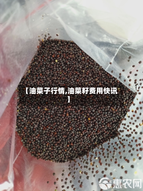 【油菜子行情,油菜籽费用快讯】