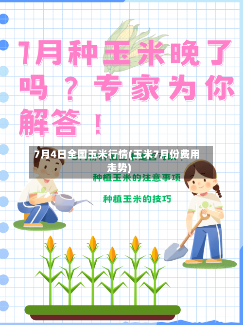 7月4日全国玉米行情(玉米7月份费用走势)