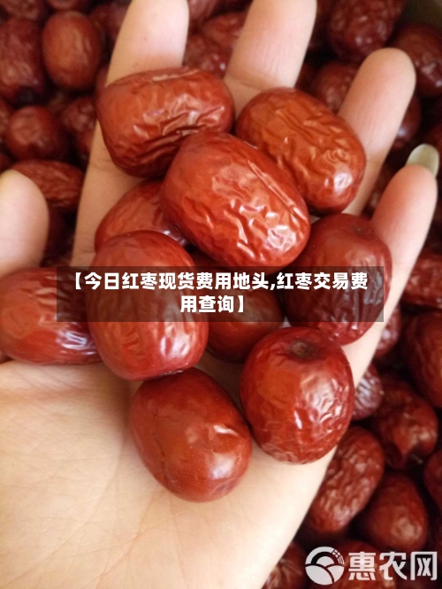 【今日红枣现货费用地头,红枣交易费用查询】