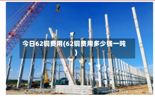 今日62铜费用(62铜费用多少钱一吨)