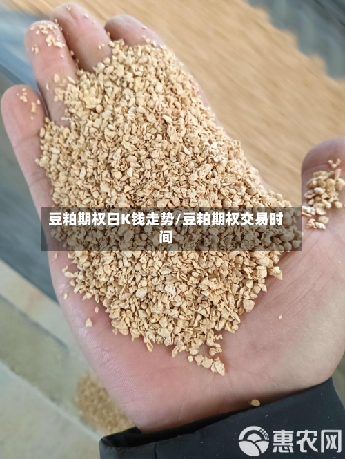 豆粕期权日K钱走势/豆粕期权交易时间