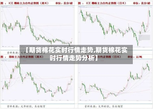【期货棉花实时行情走势,期货棉花实时行情走势分析】