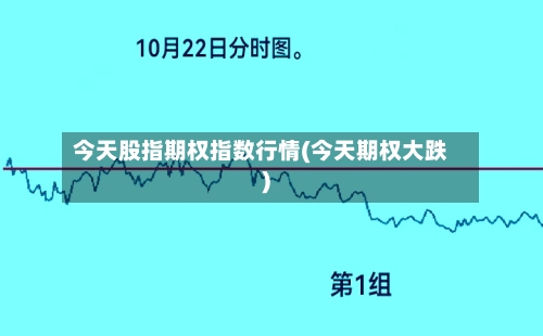 今天股指期权指数行情(今天期权大跌)