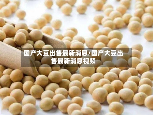 国产大豆出售最新消息/国产大豆出售最新消息视频