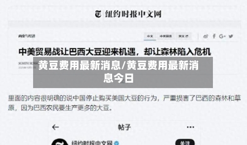 黄豆费用最新消息/黄豆费用最新消息今日