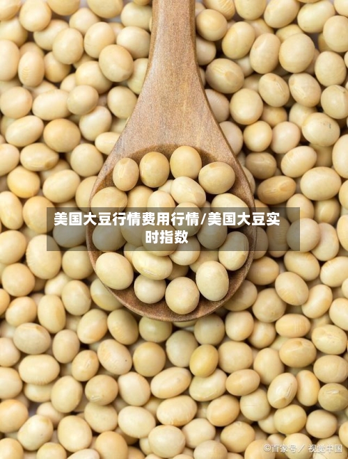 美国大豆行情费用行情/美国大豆实时指数