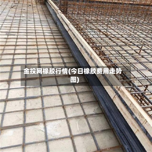 金投网橡胶行情(今日橡胶费用走势图)