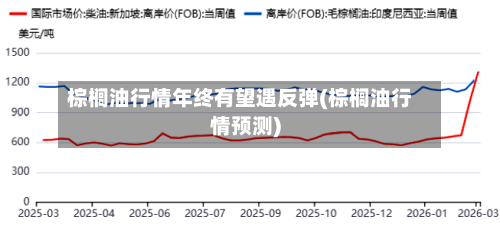 棕榈油行情年终有望遇反弹(棕榈油行情预测)