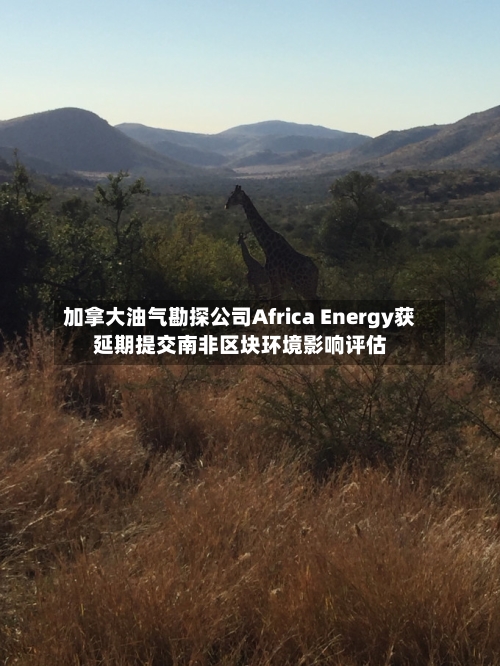 加拿大油气勘探公司Africa Energy获延期提交南非区块环境影响评估