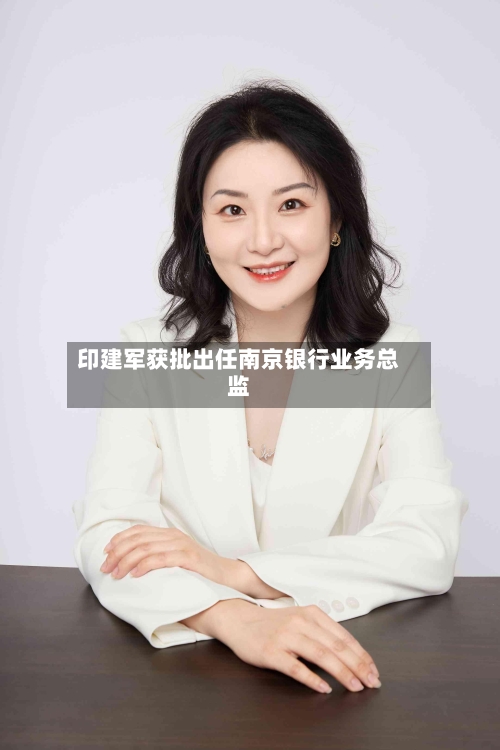 印建军获批出任南京银行业务总监