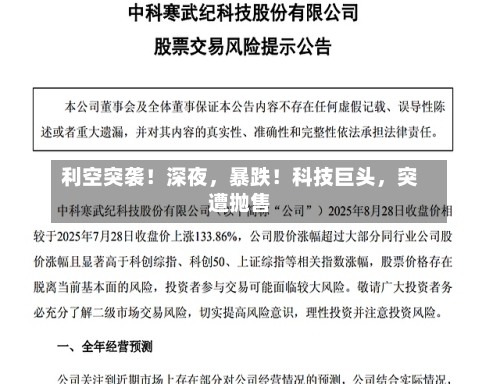 利空突袭！深夜，暴跌！科技巨头，突遭抛售