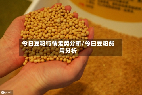 今日豆粕行情走势分析/今日豆粕费用分析