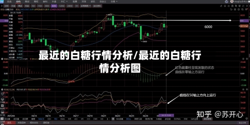 最近的白糖行情分析/最近的白糖行情分析图