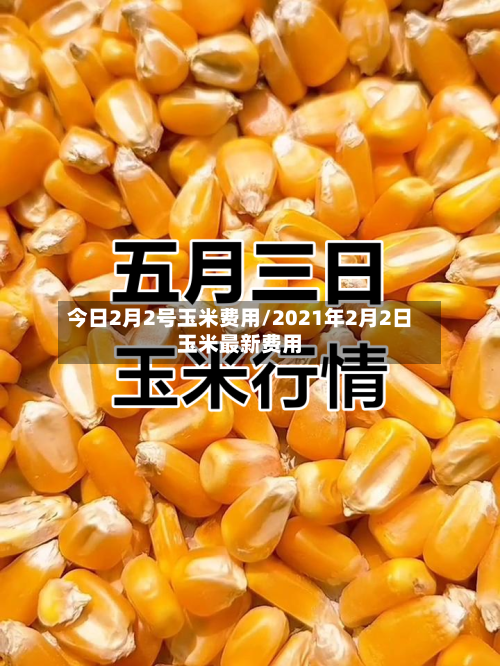 今日2月2号玉米费用/2021年2月2日玉米最新费用