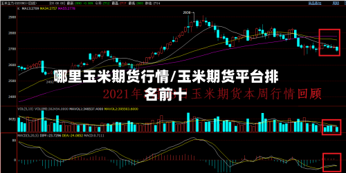 哪里玉米期货行情/玉米期货平台排名前十