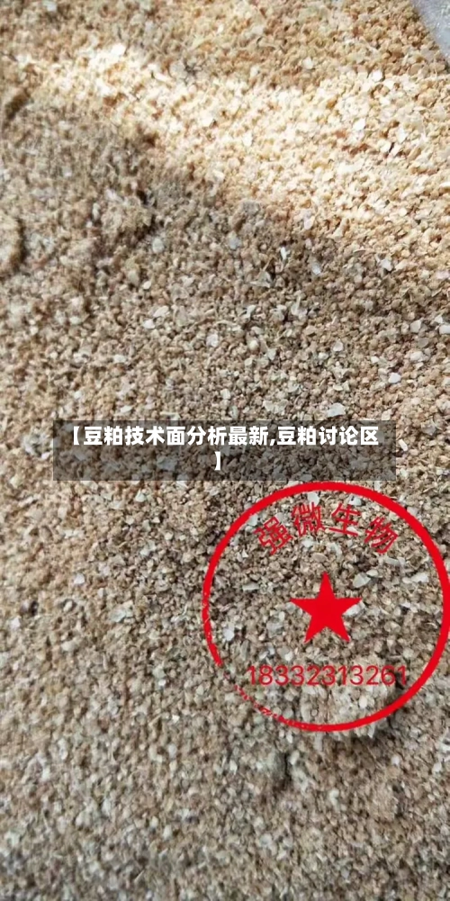 【豆粕技术面分析最新,豆粕讨论区】