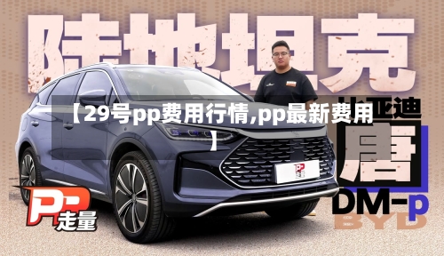 【29号pp费用行情,pp最新费用】
