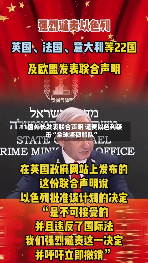 11国外长发表联合声明 谴责以色列袭击“全球坚韧船队”-第2张图片