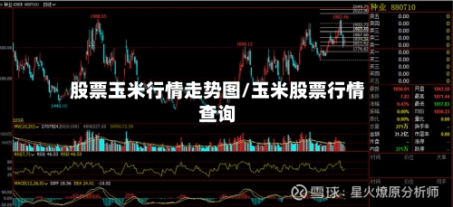 股票玉米行情走势图/玉米股票行情查询