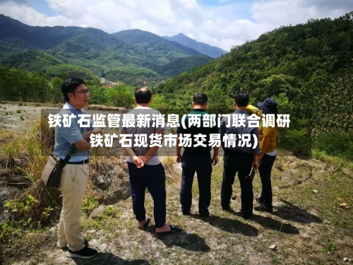 铁矿石监管最新消息(两部门联合调研铁矿石现货市场交易情况)-第2张图片