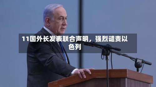 11国外长发表联合声明，强烈谴责以色列-第2张图片