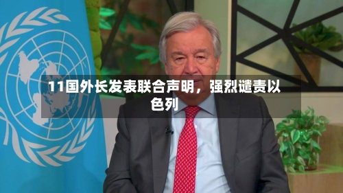 11国外长发表联合声明，强烈谴责以色列-第3张图片