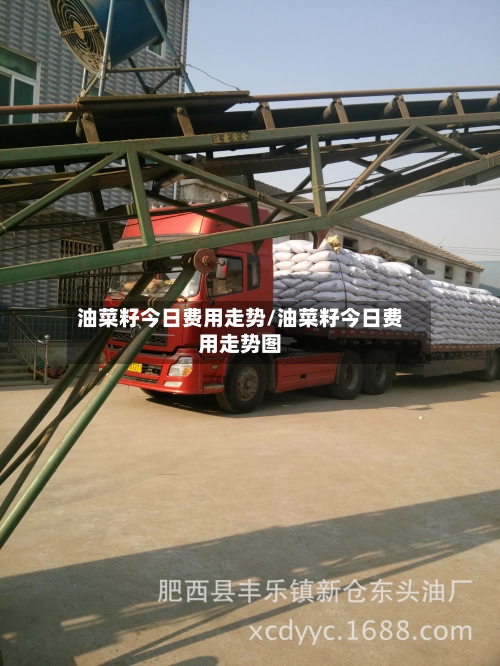 油菜籽今日费用走势/油菜籽今日费用走势图-第2张图片