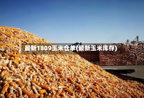 最新1809玉米仓单(最新玉米库存)