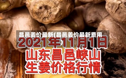 昌邑姜价最新(昌邑姜价最新费用)