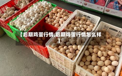 【后期鸡蛋行情,后期鸡蛋行情怎么样】