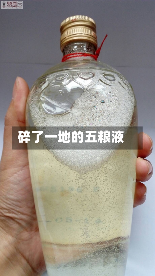碎了一地的五粮液